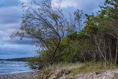 LOL赛事对电竞产业的影响：如何推动电竞发展，lol电竞的成功