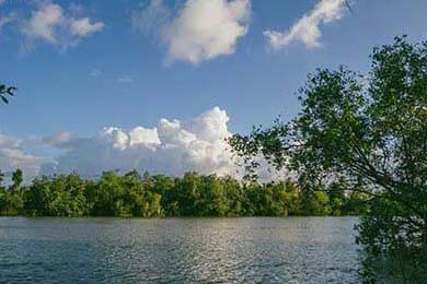 JDG发布新赛季目标：锁定全球总决赛门票，jdg tes总决赛