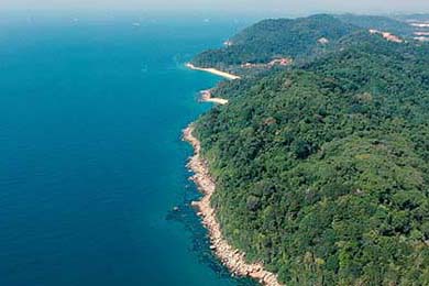 山西汾酒球队新战术体系见成效，山西汾酒球员名单