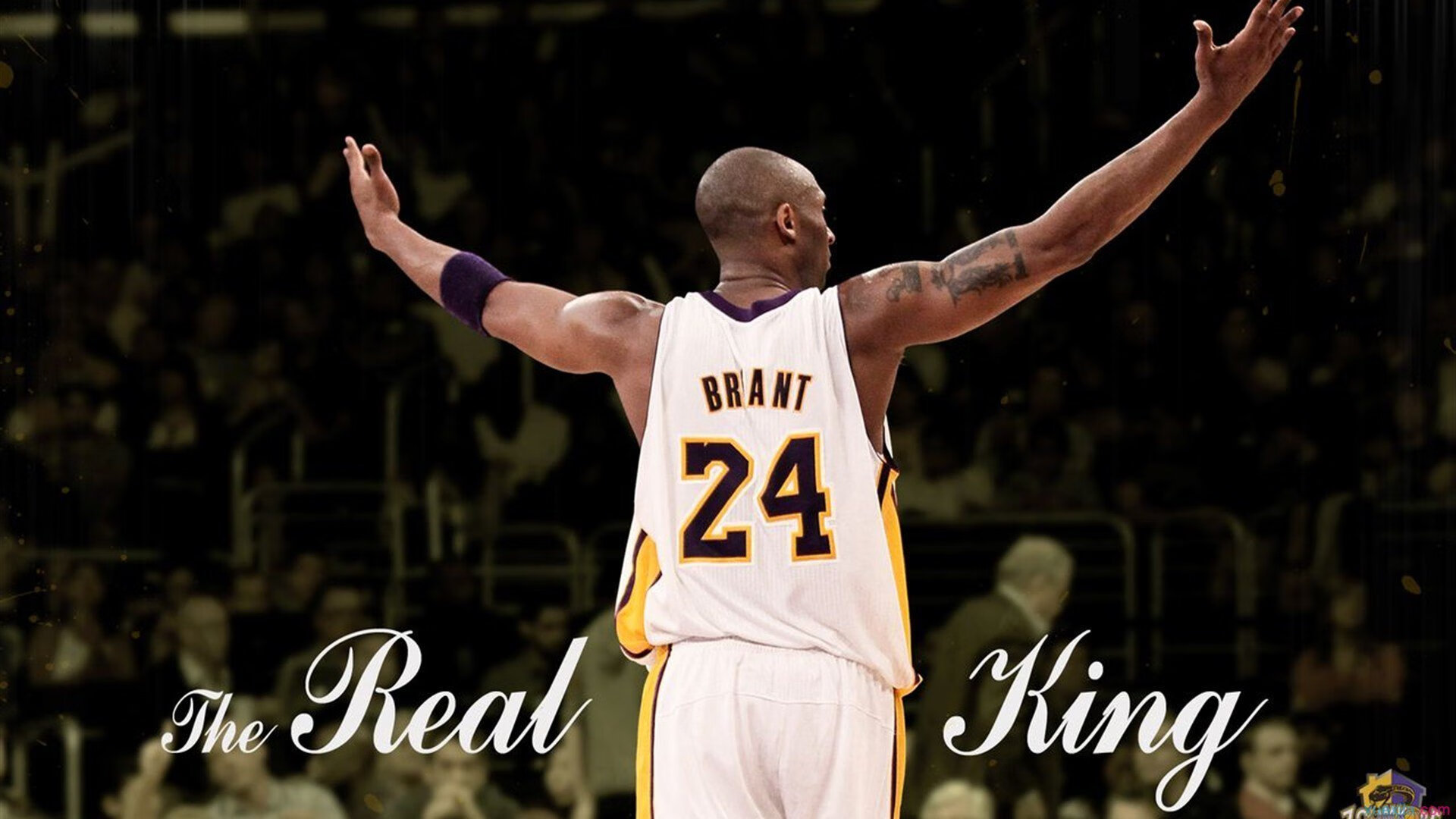 篮球赛事安全保障体系完善升级，篮球赛保障需要哪些东西