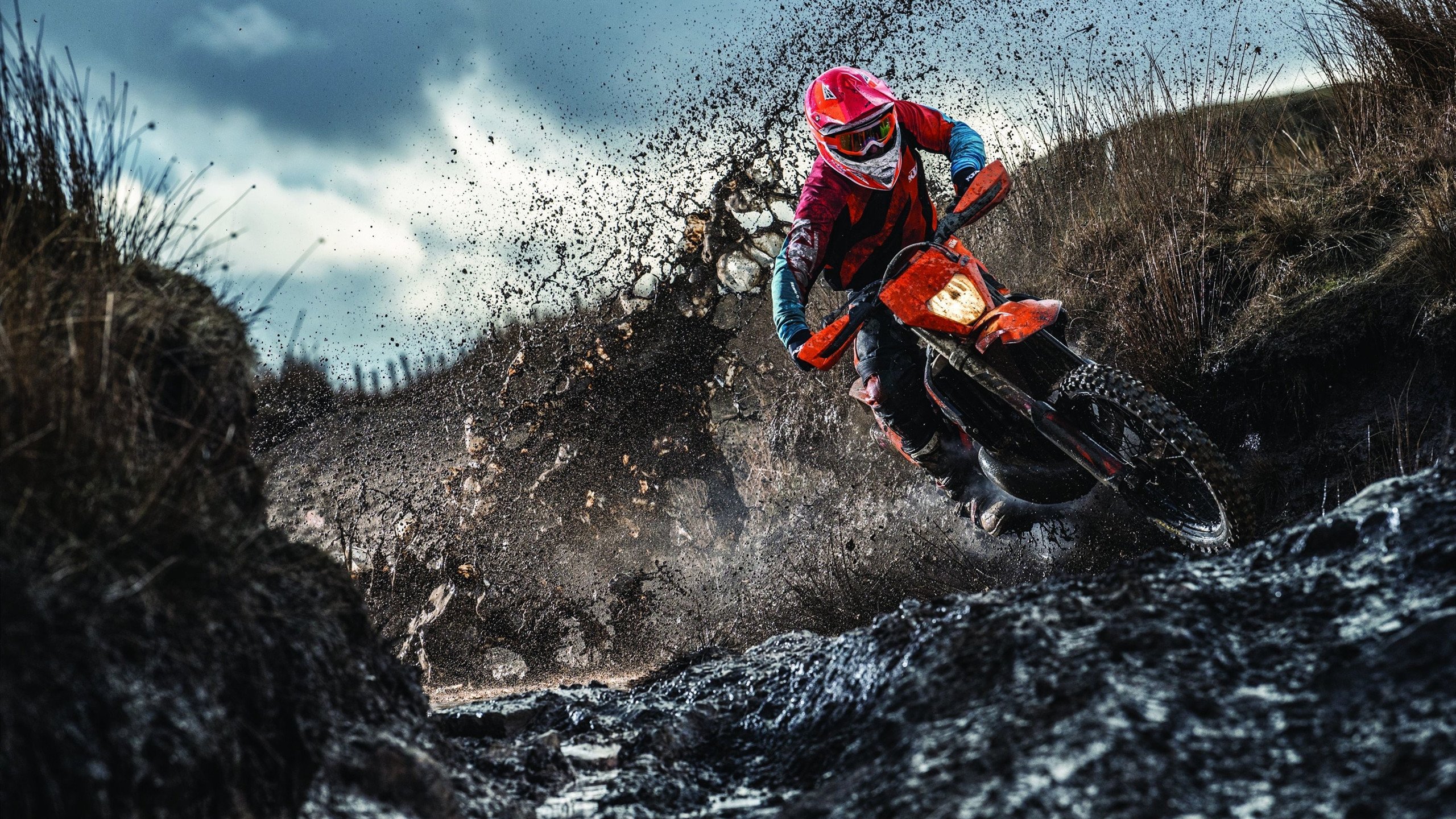 荷兰马术协会与大学合作，开展马术运动营养研究，优化饮食方案。